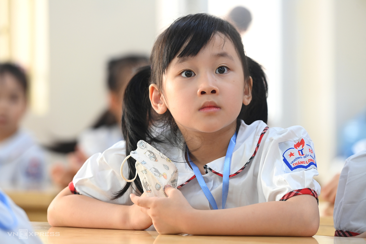 Ms: Trần Vi